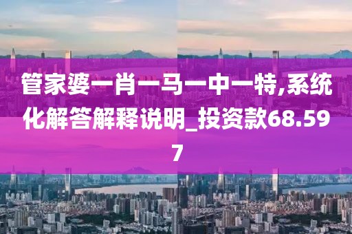 管家婆一肖一马一中一特,系统化解答解释说明_投资款68.597