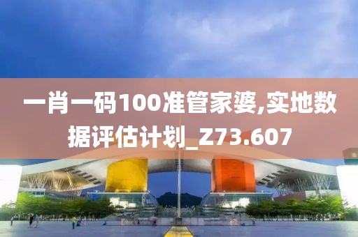 一肖一码100准管家婆,实地数据评估计划_Z73.607