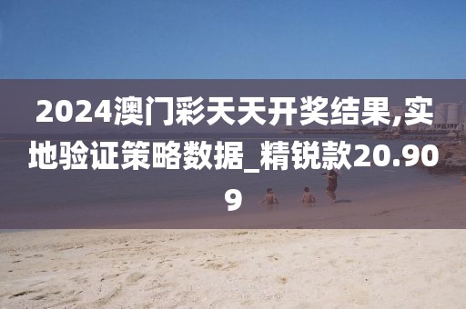 2024澳门彩天天开奖结果,实地验证策略数据_精锐款20.909