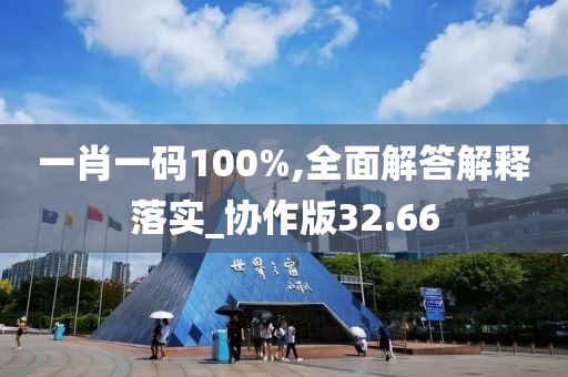 一肖一码100%,全面解答解释落实_协作版32.66
