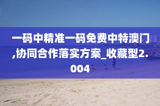 一码中精准一码免费中特澳门,协同合作落实方案_收藏型2.004