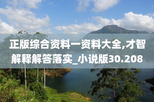 正版综合资料一资料大全,才智解释解答落实_小说版30.208