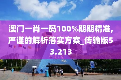 澳门一肖一码100%期期精准,严谨的解析落实方案_传输版53.213