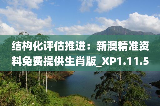 结构化评估推进：新澳精准资料免费提供生肖版_XP1.11.5
