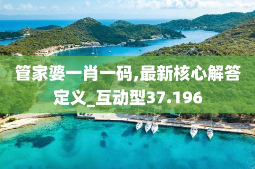 管家婆一肖一码,最新核心解答定义_互动型37.196