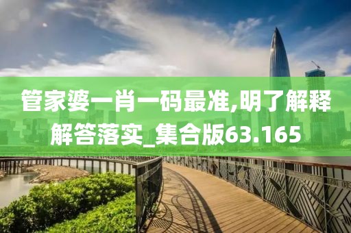 管家婆一肖一码最准,明了解释解答落实_集合版63.165