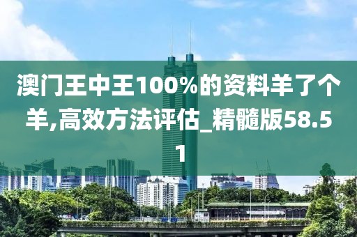 澳门王中王100%的资料羊了个羊,高效方法评估_精髓版58.51