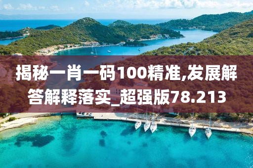 揭秘一肖一码100精准,发展解答解释落实_超强版78.213