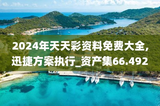 2024年天天彩资料免费大全,迅捷方案执行_资产集66.492