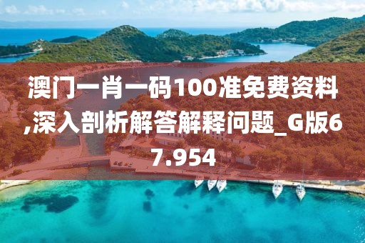 澳门一肖一码100准免费资料,深入剖析解答解释问题_G版67.954
