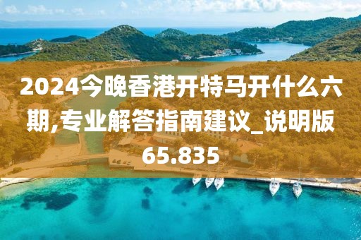2024今晚香港开特马开什么六期,专业解答指南建议_说明版65.835