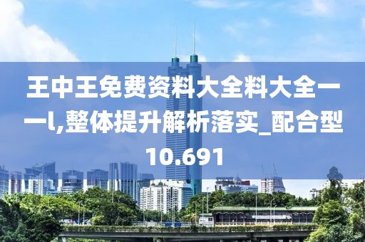 王中王免费资料大全料大全一一l,整体提升解析落实_配合型10.691