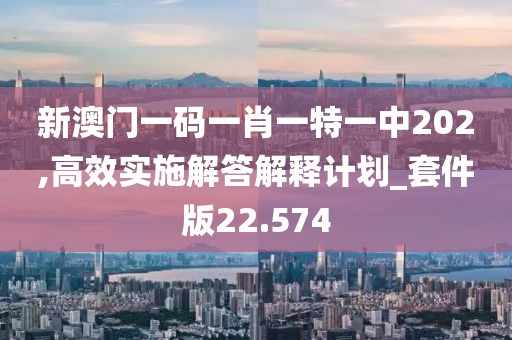 新澳门一码一肖一特一中202,高效实施解答解释计划_套件版22.574