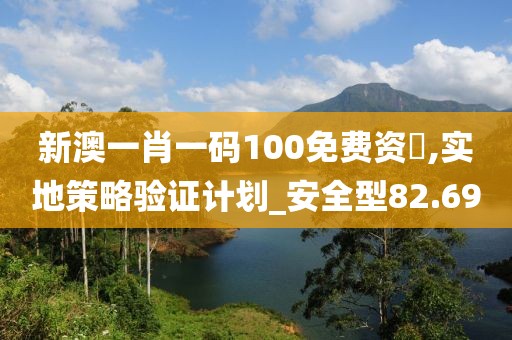 新澳一肖一码100免费资枓,实地策略验证计划_安全型82.69