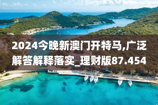 2024今晚新澳门开特马,广泛解答解释落实_理财版87.454