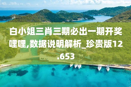 白小姐三肖三期必出一期开奖哩哩,数据说明解析_珍贵版12.653