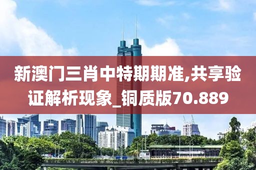 新澳门三肖中特期期准,共享验证解析现象_铜质版70.889