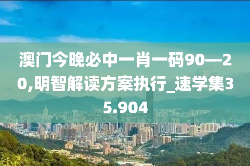 澳门今晚必中一肖一码90—20,明智解读方案执行_速学集35.904