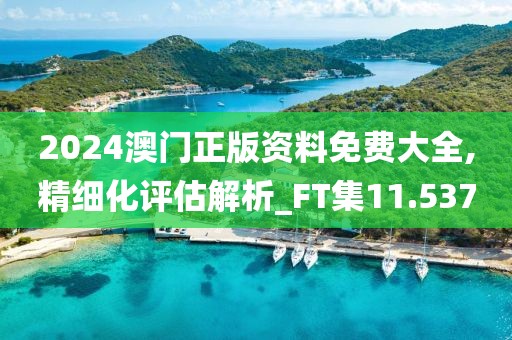 2024澳门正版资料免费大全,精细化评估解析_FT集11.537