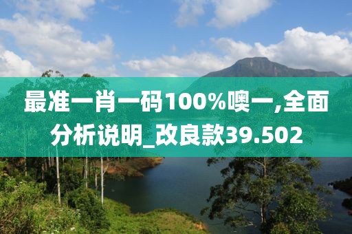 最准一肖一码100%噢一,全面分析说明_改良款39.502