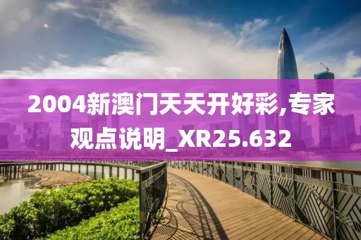 2004新澳门天天开好彩,专家观点说明_XR25.632