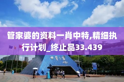 管家婆的资料一肖中特,精细执行计划_终止品33.439