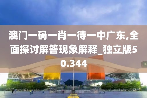 澳门一码一肖一待一中广东,全面探讨解答现象解释_独立版50.344