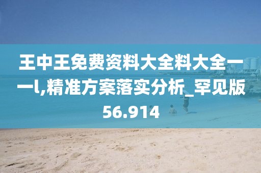 王中王免费资料大全料大全一一l,精准方案落实分析_罕见版56.914