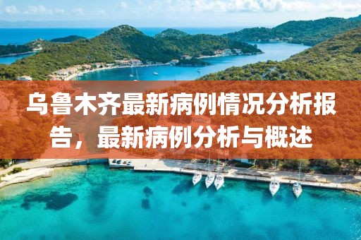 乌鲁木齐最新病例情况分析报告，最新病例分析与概述
