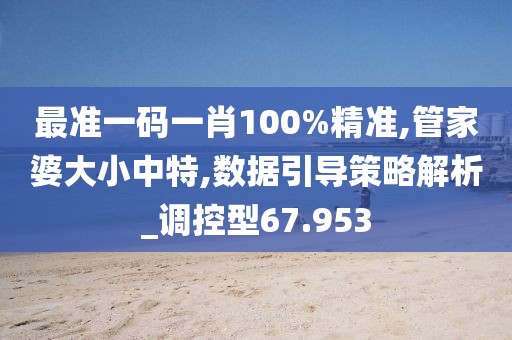 最准一码一肖100%精准,管家婆大小中特,数据引导策略解析_调控型67.953