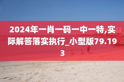 2024年一肖一码一中一特,实际解答落实执行_小型版79.193