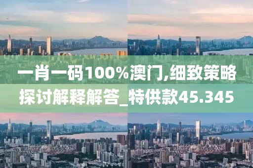 一肖一码100%澳门,细致策略探讨解释解答_特供款45.345