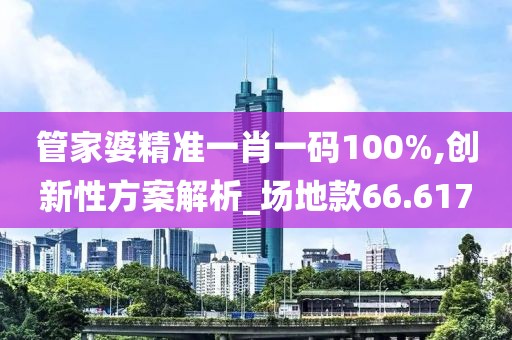 管家婆精准一肖一码100%,创新性方案解析_场地款66.617
