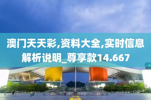 澳门天天彩,资料大全,实时信息解析说明_尊享款14.667