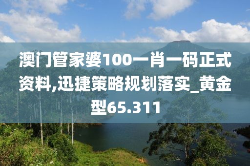 澳门管家婆100一肖一码正式资料,迅捷策略规划落实_黄金型65.311
