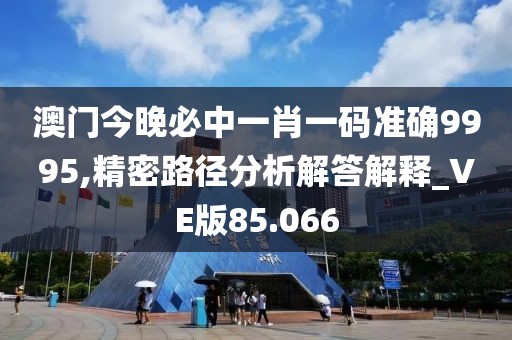 澳门今晚必中一肖一码准确9995,精密路径分析解答解释_VE版85.066