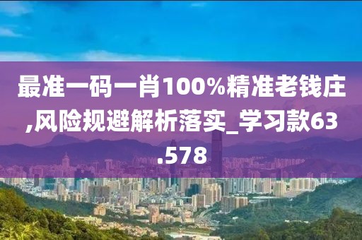 最准一码一肖100%精准老钱庄,风险规避解析落实_学习款63.578