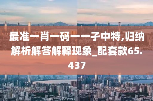 最准一肖一码一一孑中特,归纳解析解答解释现象_配套款65.437