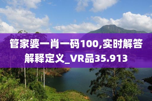 管家婆一肖一码100,实时解答解释定义_VR品35.913