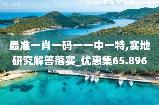 最准一肖一码一一中一特,实地研究解答落实_优惠集65.896