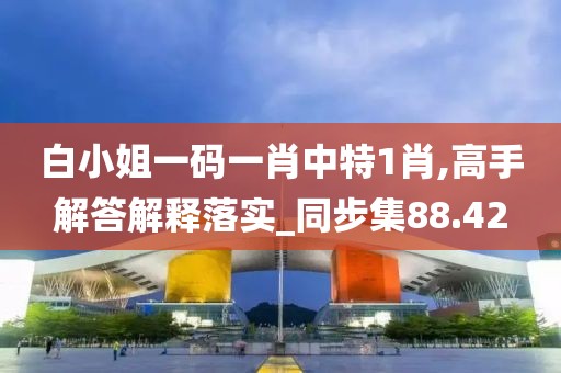 白小姐一码一肖中特1肖,高手解答解释落实_同步集88.42