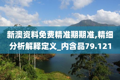 新澳资料免费精准期期准,精细分析解释定义_内含品79.121