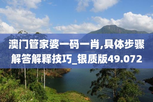 澳门管家婆一码一肖,具体步骤解答解释技巧_银质版49.072