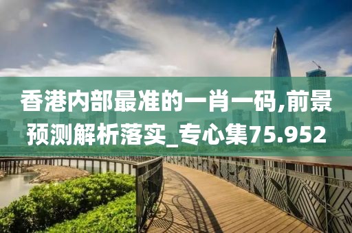 香港内部最准的一肖一码,前景预测解析落实_专心集75.952