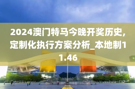 2024澳门特马今晚开奖历史,定制化执行方案分析_本地制11.46