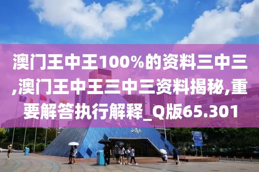 澳门王中王100%的资料三中三,澳门王中王三中三资料揭秘,重要解答执行解释_Q版65.301