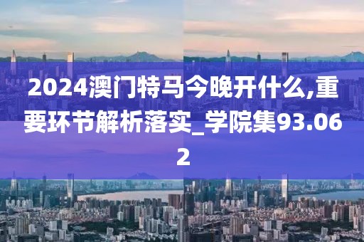 2024澳门特马今晚开什么,重要环节解析落实_学院集93.062
