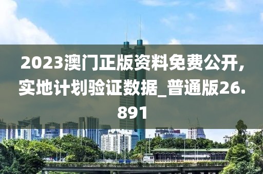 2023澳门正版资料免费公开,实地计划验证数据_普通版26.891