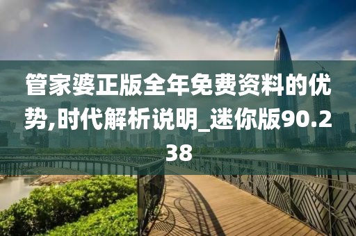 管家婆正版全年免费资料的优势,时代解析说明_迷你版90.238