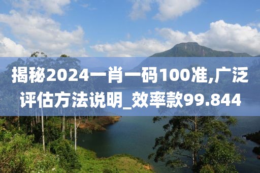 揭秘2024一肖一码100准,广泛评估方法说明_效率款99.844